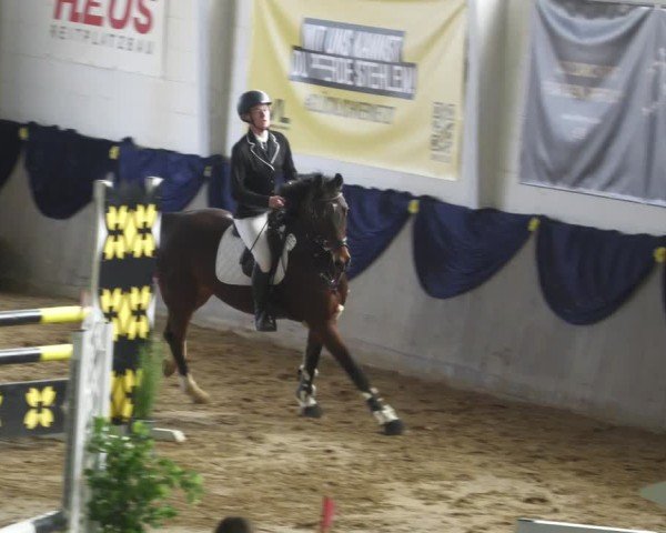 Reitturnier Diez 2025