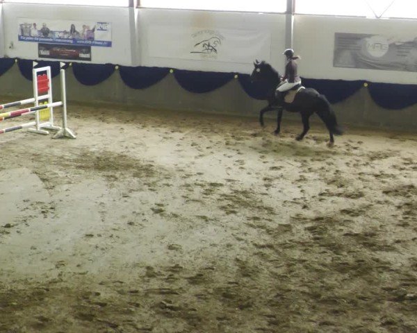 Reitturnier Diez 2025