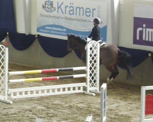 Reitturnier Diez 2025