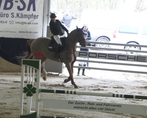 Reitturnier Diez 2025