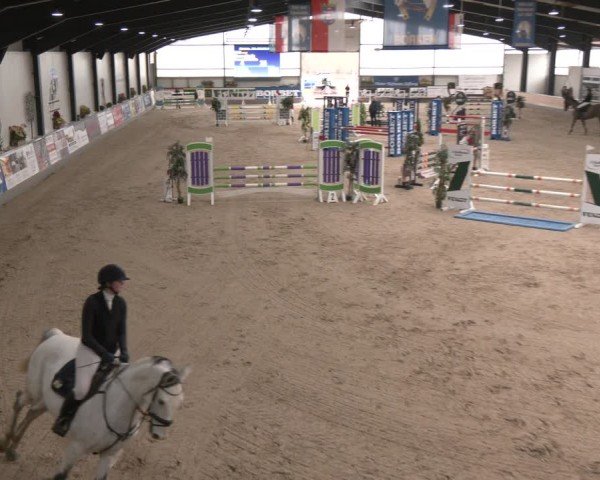 Reitturnier Borken (Hessen) 2025