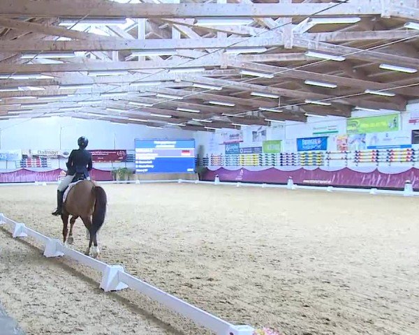 Reitturnier Eicherloh 2025