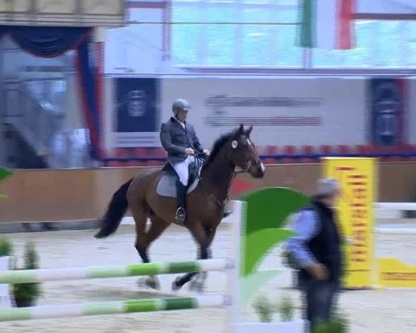 11. Hallen-Championat Vechta 2013