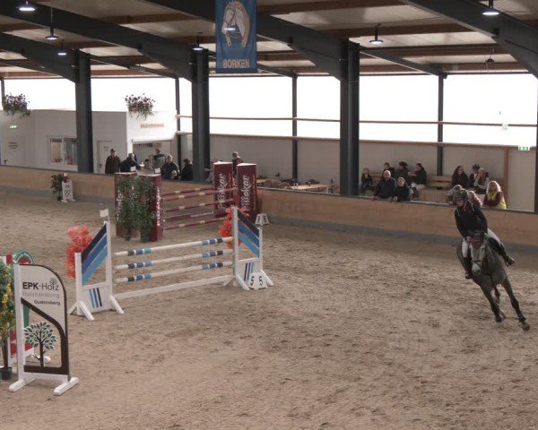 Reitturnier Borken (Hessen) 2025