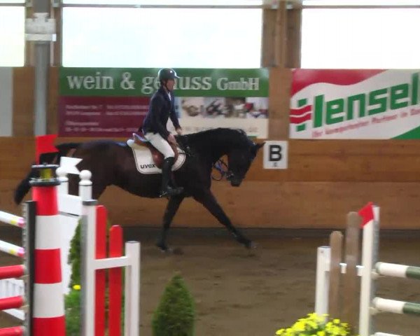 Late-Entry Langenau 2013