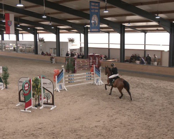 Reitturnier Borken (Hessen) 2025