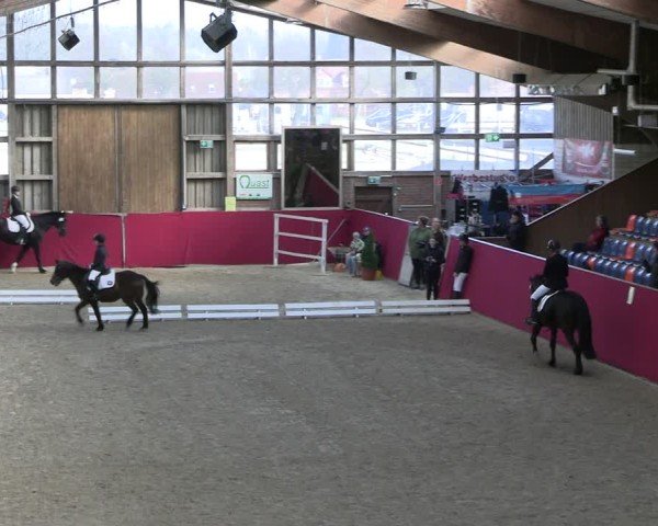 Reitturnier Krumke 2025