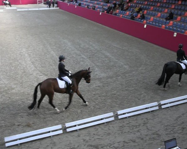 Reitturnier Krumke 2025