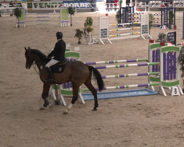 Reitturnier Borken (Hessen) 2025