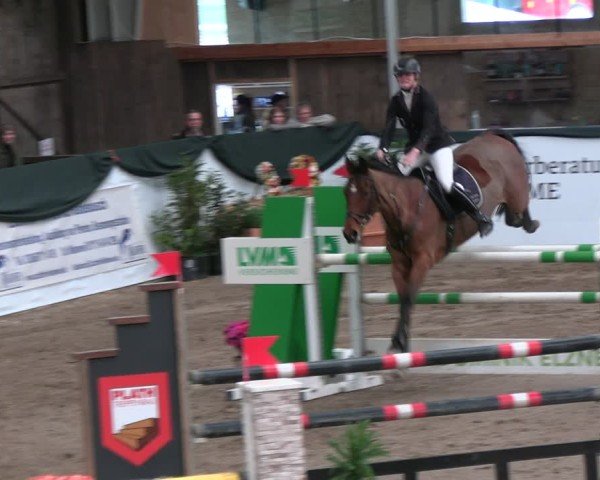 Reitturnier Timmendorf 2025