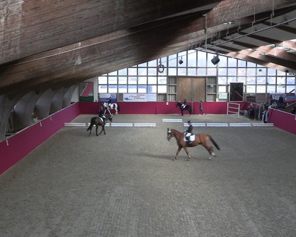 Reitturnier Krumke 2025