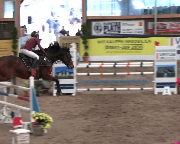 Reitturnier Timmendorf 2025