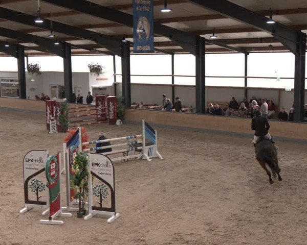 Reitturnier Borken (Hessen) 2025