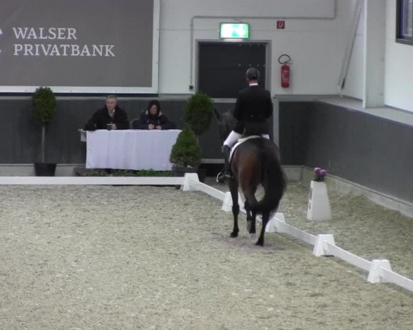 Dressurturnier auf dem Abtshof 2013