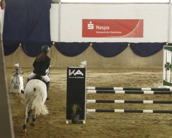 Reitturnier Diez 2025
