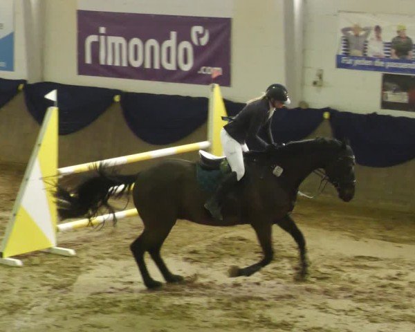 Reitturnier Diez 2025