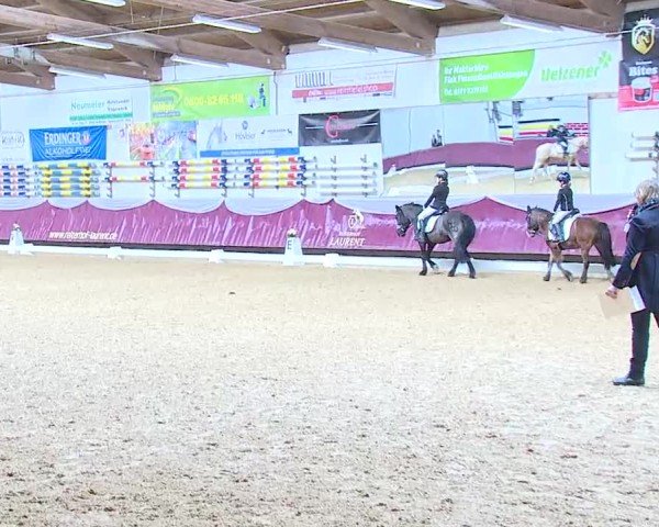 Reitturnier Eicherloh 2025