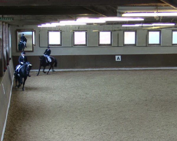 Reitturnier Poggersdorf 2025