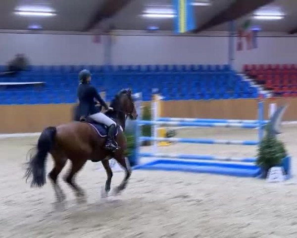 11. Hallen-Championat Vechta 2013