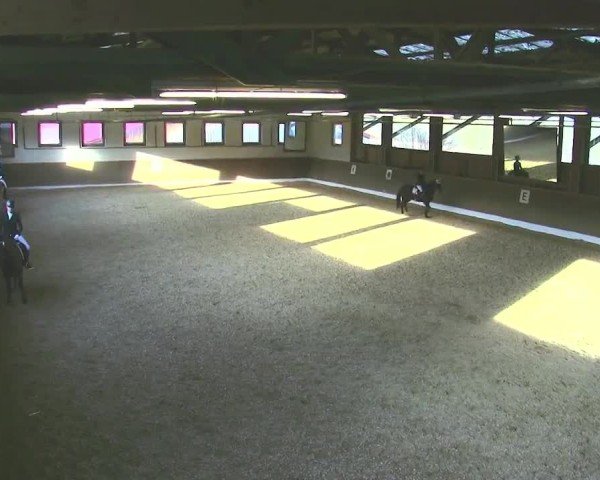 Reitturnier Poggersdorf 2025