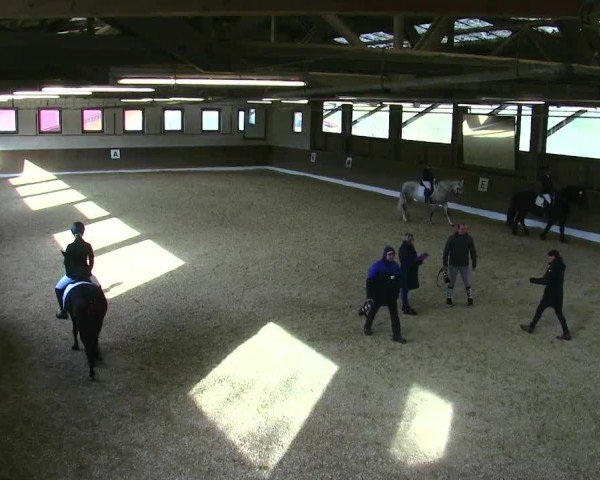 Reitturnier Poggersdorf 2025