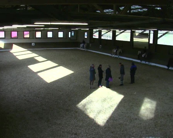 Reitturnier Poggersdorf 2025