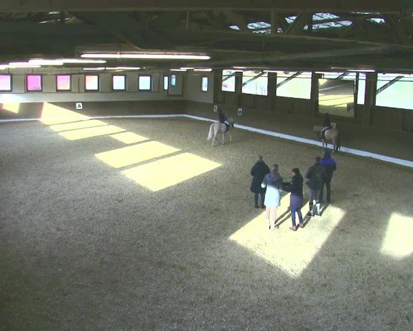 Reitturnier Poggersdorf 2025