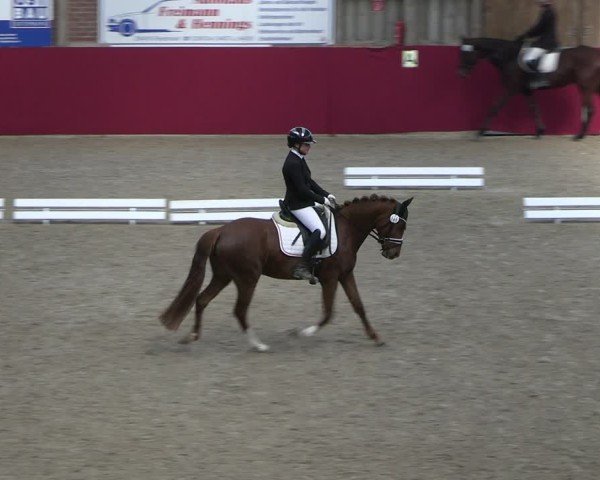 Reitturnier Krumke 2025
