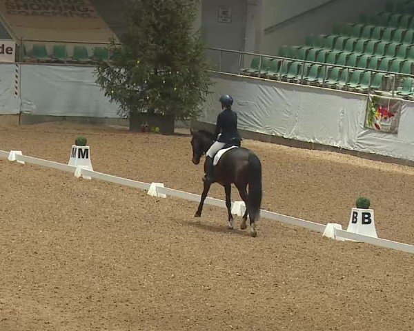 Reitturnier Kreuth 2025
