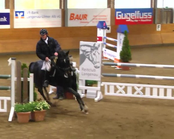 Late-Entry Langenau 2013