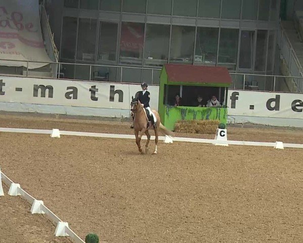 Reitturnier Kreuth 2025