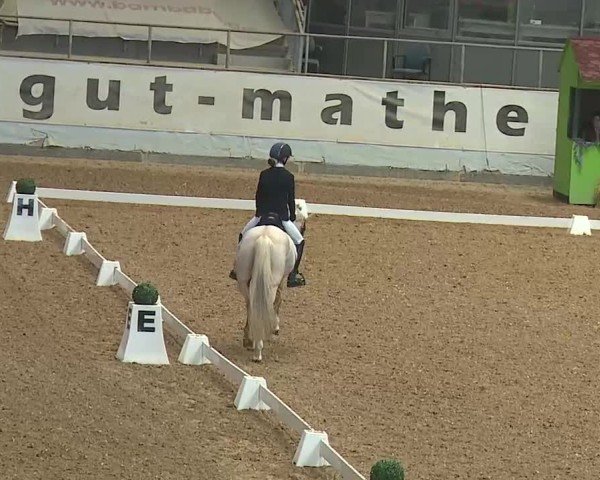 Reitturnier Kreuth 2025