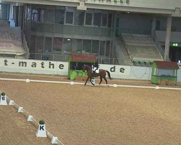 Reitturnier Kreuth 2025
