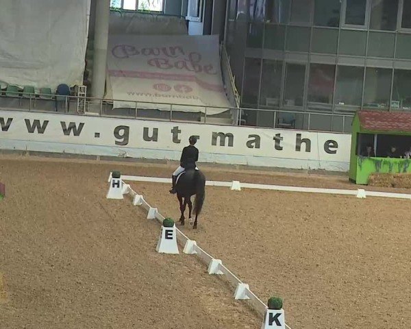Reitturnier Kreuth 2025