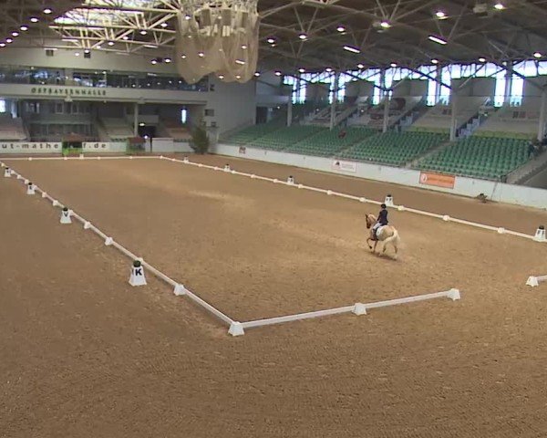 Reitturnier Kreuth 2025