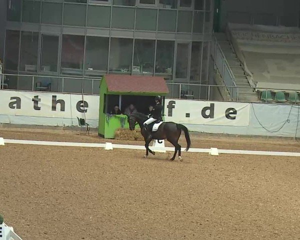Reitturnier Kreuth 2025