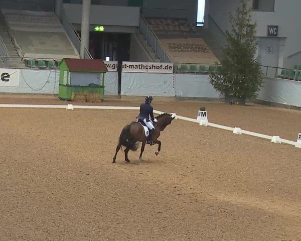 Reitturnier Kreuth 2025