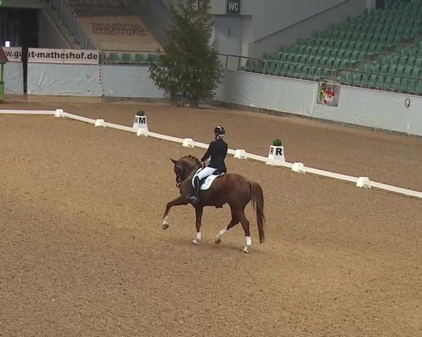 Reitturnier Kreuth 2025