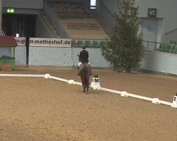 Reitturnier Kreuth 2025