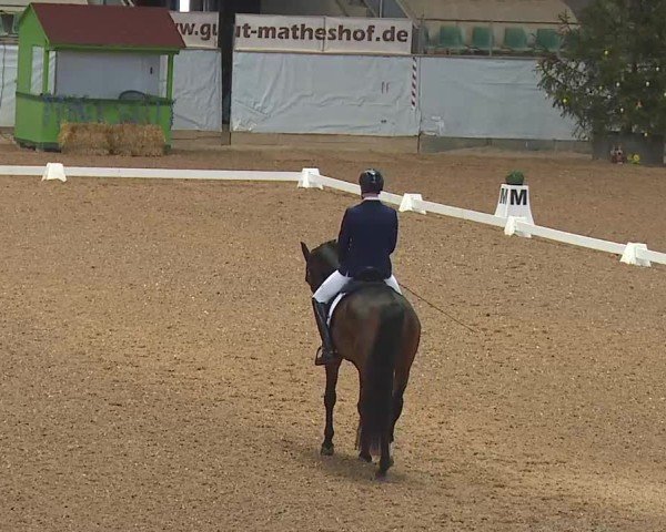 Reitturnier Kreuth 2025