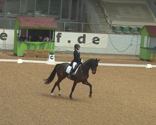 Reitturnier Kreuth 2025