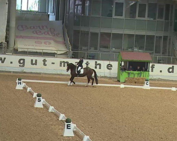 Reitturnier Kreuth 2025