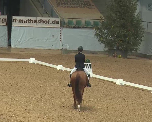 Reitturnier Kreuth 2025