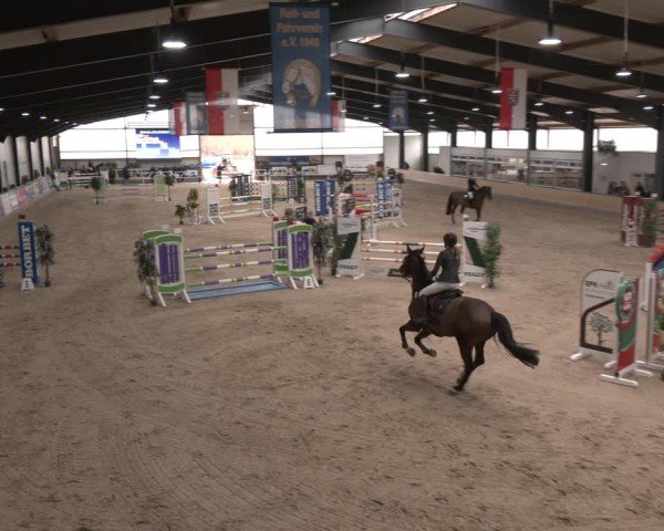 Reitturnier Borken (Hessen) 2025