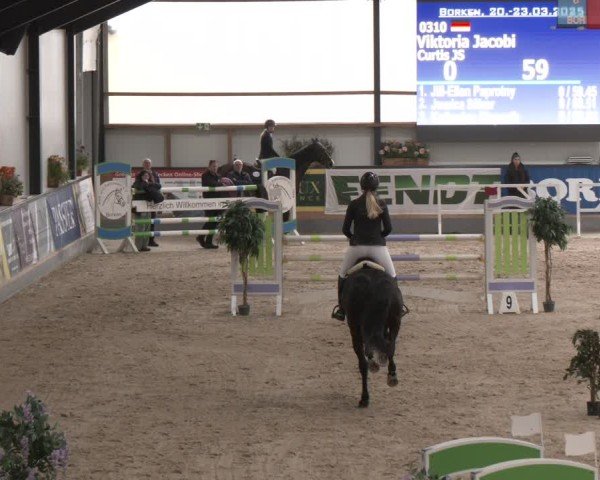 Reitturnier Borken (Hessen) 2025