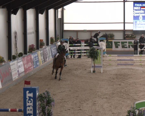 Reitturnier Borken (Hessen) 2025