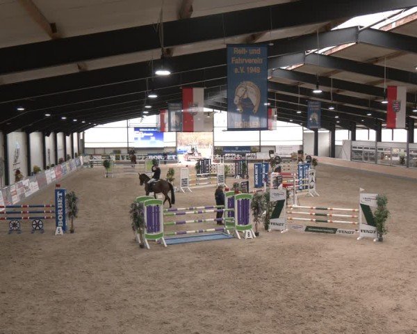 Reitturnier Borken (Hessen) 2025