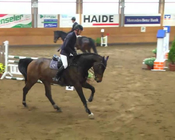 Late-Entry Langenau 2013