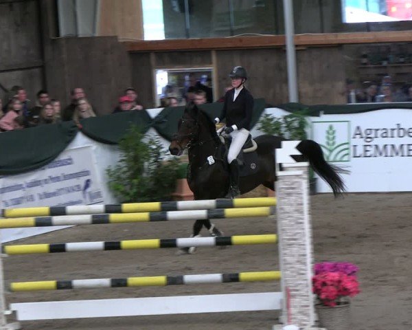 Reitturnier Timmendorf 2025