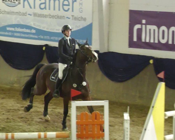 Reitturnier Diez 2025